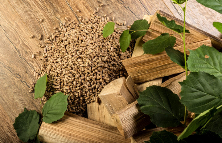 Granulés ou pellet de bois ?